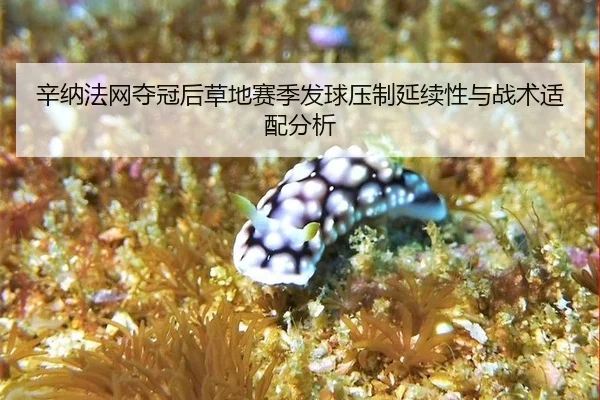 辛纳法网夺冠后草地赛季发球压制延续性与战术适配分析